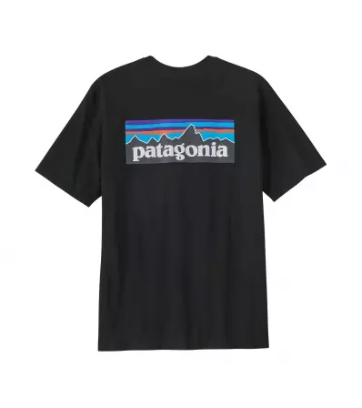 Patagonia P-6 Logo Responsibili-Tee M's Summer 2025