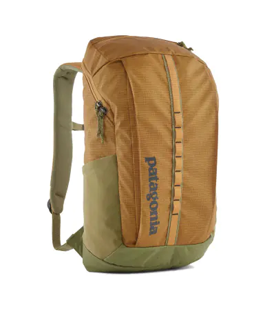 Patagonia Black Hole Pack 25L Summer 2024