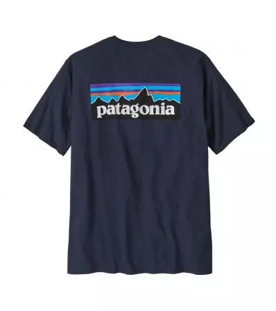 Patagonia P-6 Logo Responsibili-Tee M's Summer 2025