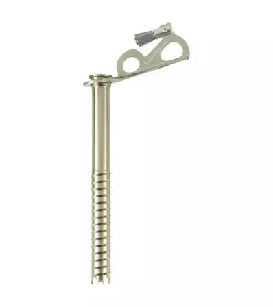 Black Diamond Express Ice Screw 19CM