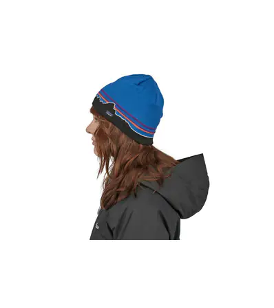 Шапка Patagonia Beanie Hat