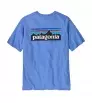 Patagonia P-6 Logo Responsibili-Tee M's Summer 2025