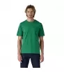 Patagonia P-6 Logo Responsibili-Tee M's Summer 2025