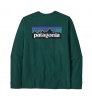 Chemisier Patagonia Long-Sleeved P-6 Logo Responsibili-Tee M's
