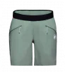 Mammut Aenergy SO Shorts W's Summer 2023